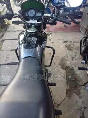 Hero Passion pro 2013