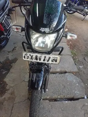 Hero Passion pro 2013