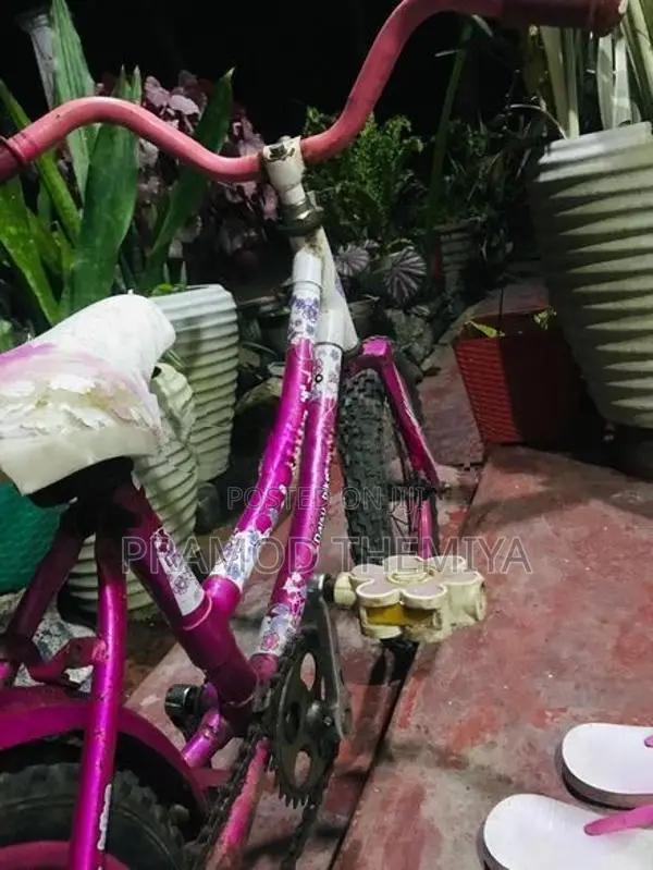 Kids Bicycle