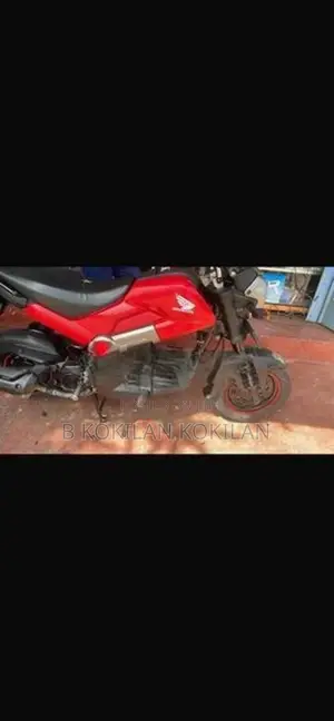 Honda Navi 2018