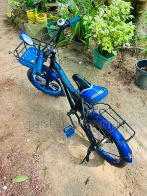 safari bycycle