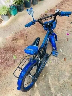safari bycycle