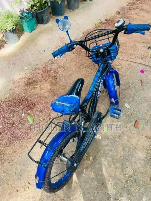 safari bycycle