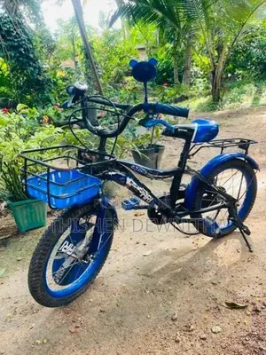 safari bycycle