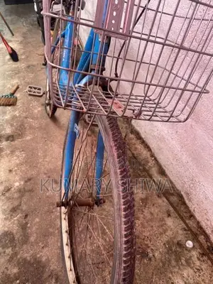 Ladies Bicycle