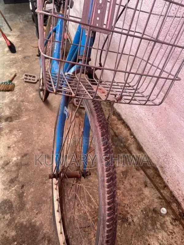 Ladies Bicycle