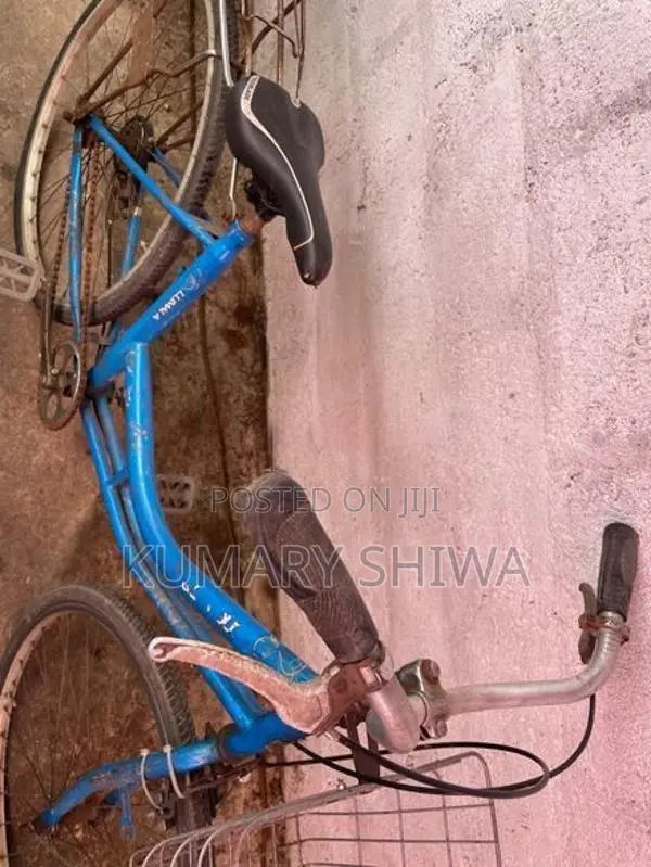 Ladies Bicycle