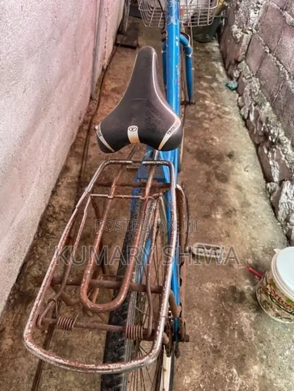 Ladies Bicycle