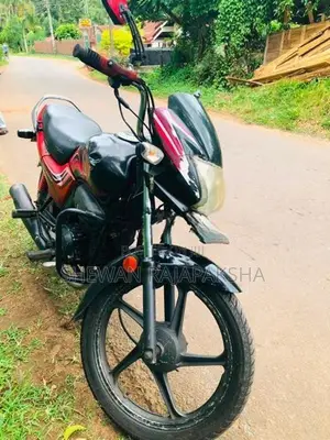 Hero Passion pro 2008
