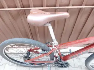 Mountain Bicycle
