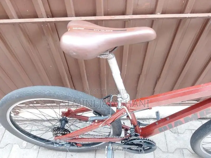 Mountain Bicycle
