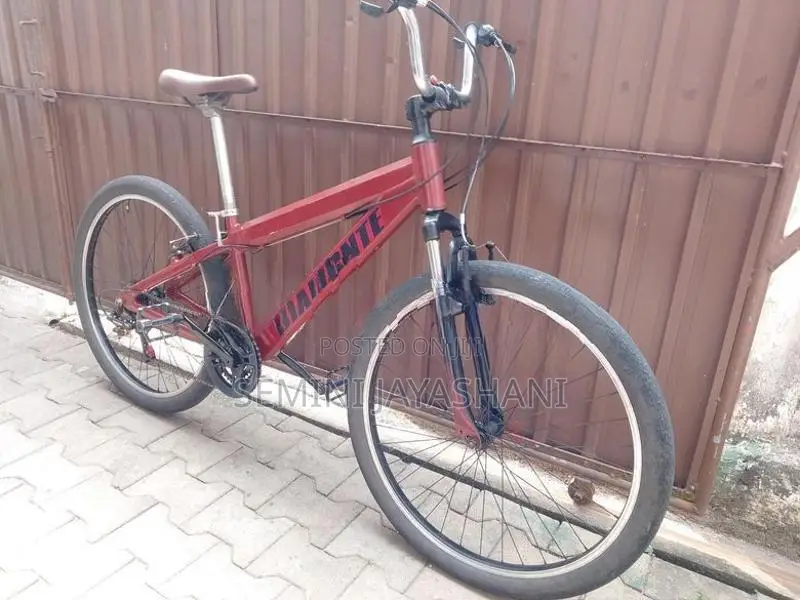 Mountain Bicycle