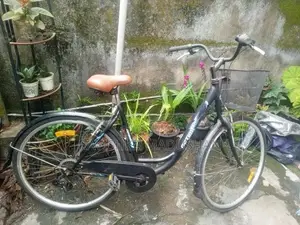 Actimover Japan Bicycle