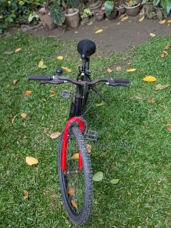 Bicycle