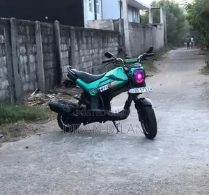 Honda Navi 2017