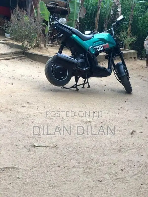 Honda Navi 2017