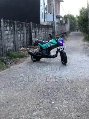 Honda Navi 2017