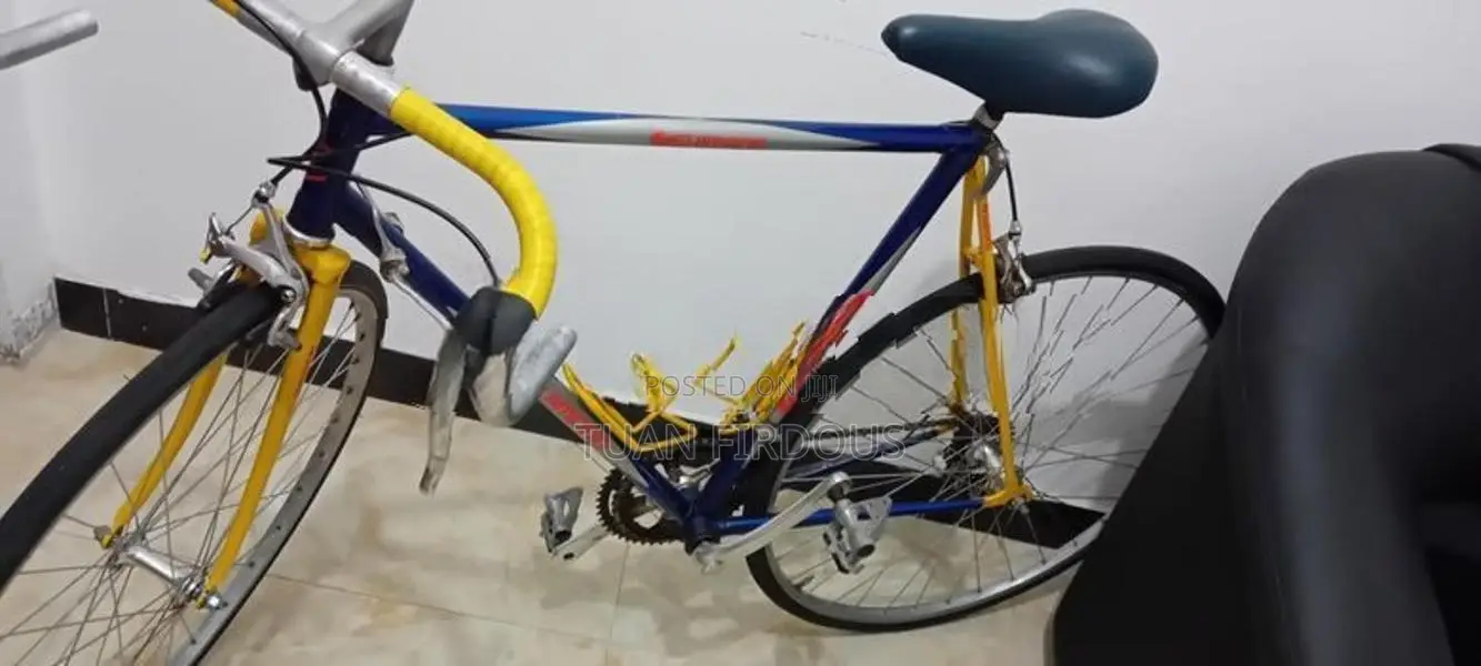 Shimsno Racing Bike