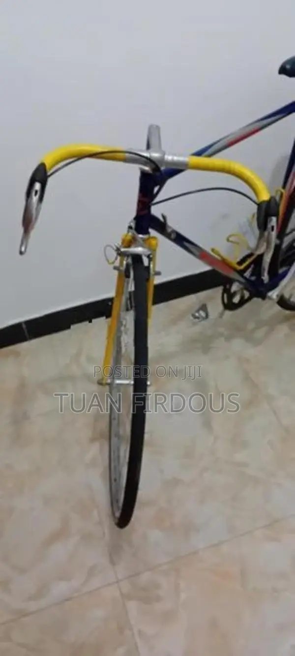 Shimsno Racing Bike