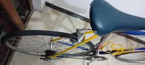 Shimsno Racing Bike