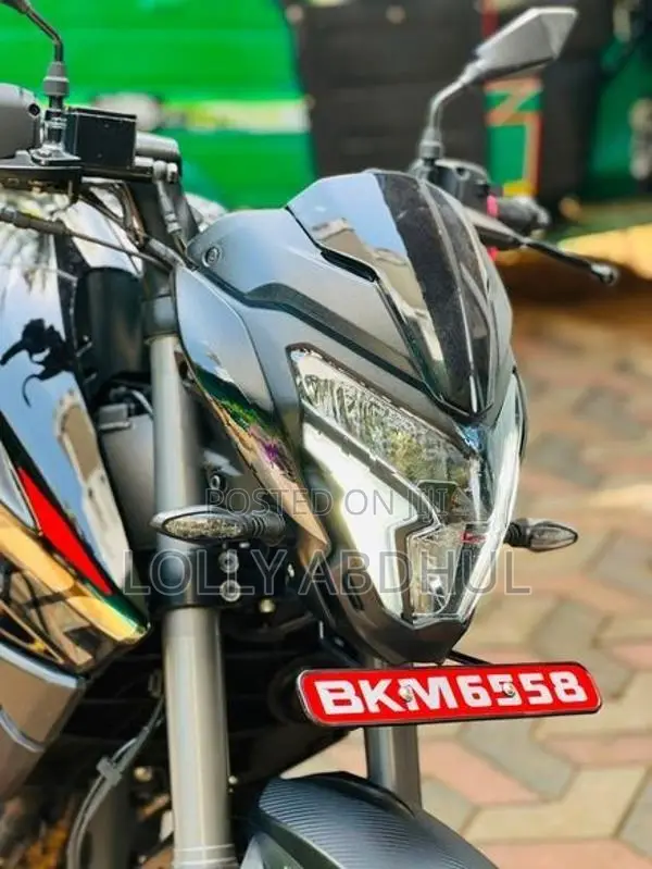 Bajaj Pulsar NS200 2026
