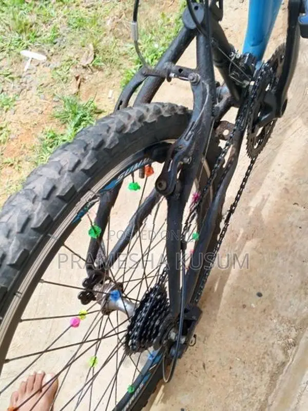 Kenton Bicycle