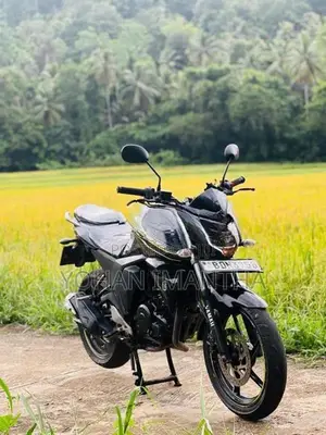 Yamaha FZ S FZ-S V2 2017