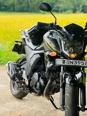 Yamaha FZ S FZ-S V2 2017