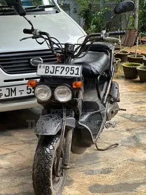 Honda Zoomer 2017