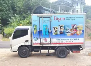 Toyota Dyna Hino 300 2016