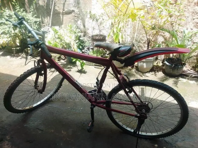 Bicycle