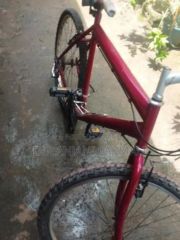 Bicycle