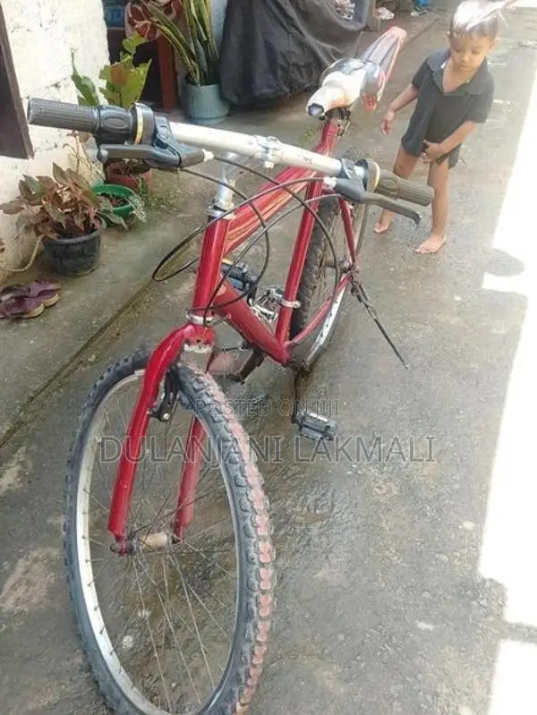 Bicycle