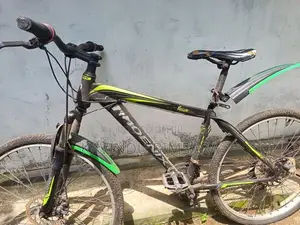 Phoenix bicycle