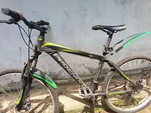 Phoenix bicycle