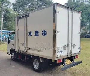 Isuzu 250 2015 freezer