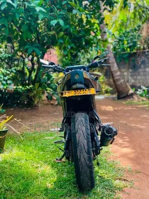 Yamaha FZs V2 2019