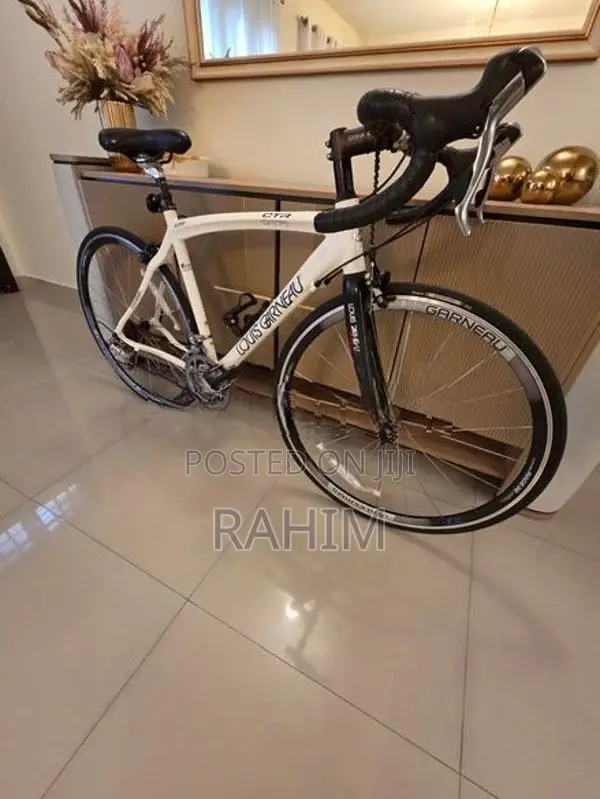 Carbon Fiber Cycle