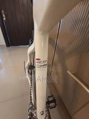 Carbon Fiber Cycle