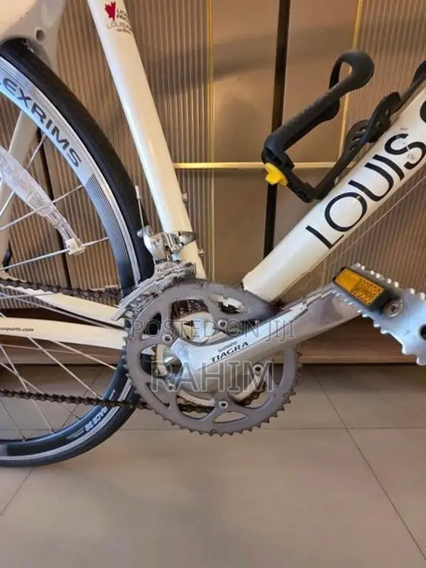 Carbon Fiber Cycle