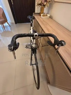 Carbon Fiber Cycle