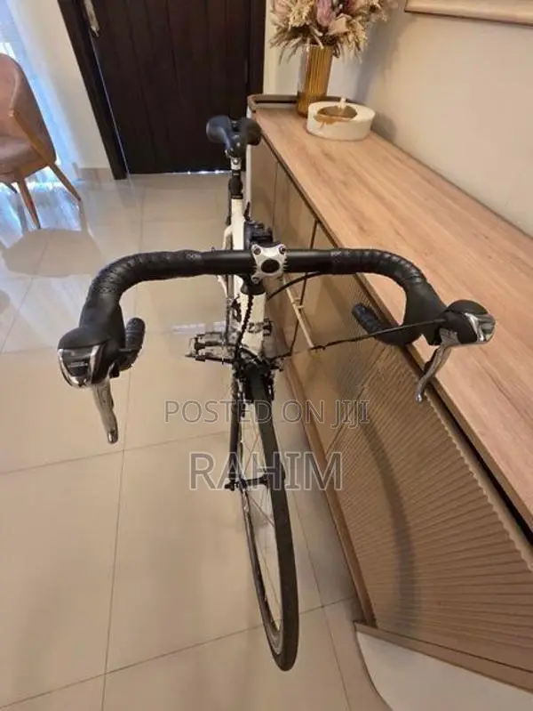 Carbon Fiber Cycle