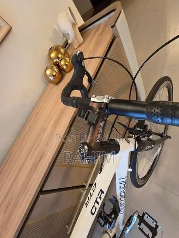 Carbon Fiber Cycle