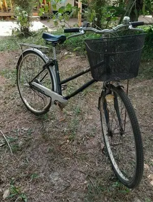 Ladies Bicycle