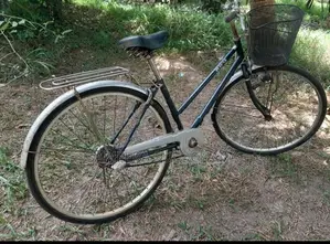 Ladies Bicycle