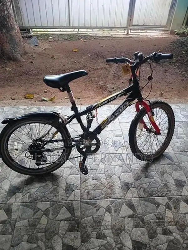 Lumala Bicycle