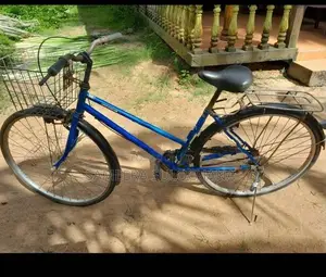 ලේඩිස් බයිසිකල්