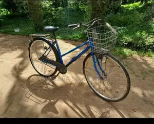 ලේඩිස් බයිසිකල්