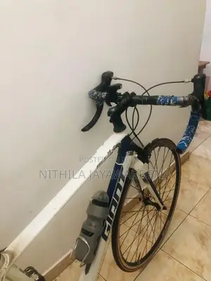 Giant Bicycle