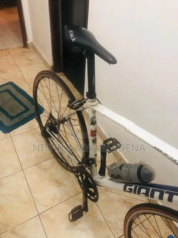 Giant Bicycle